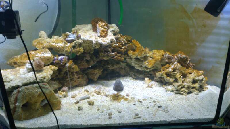 Aquarium Hauptansicht von Becken 28039