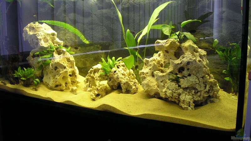Aquarium Hauptansicht von Becken 2872