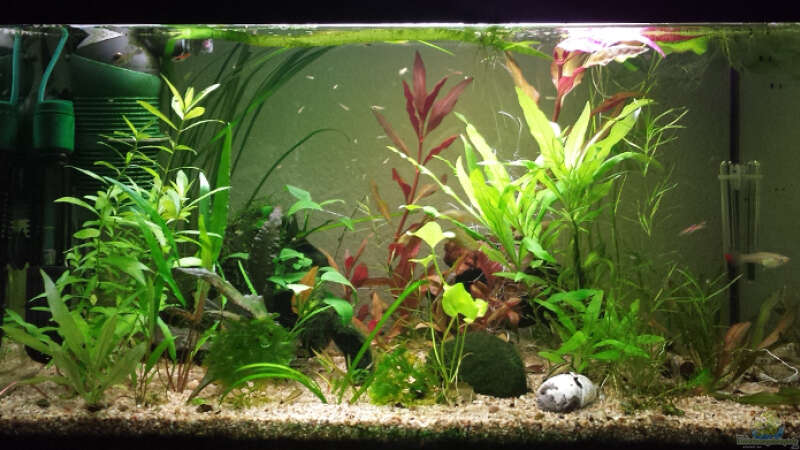 Endlers Wohnzimmer