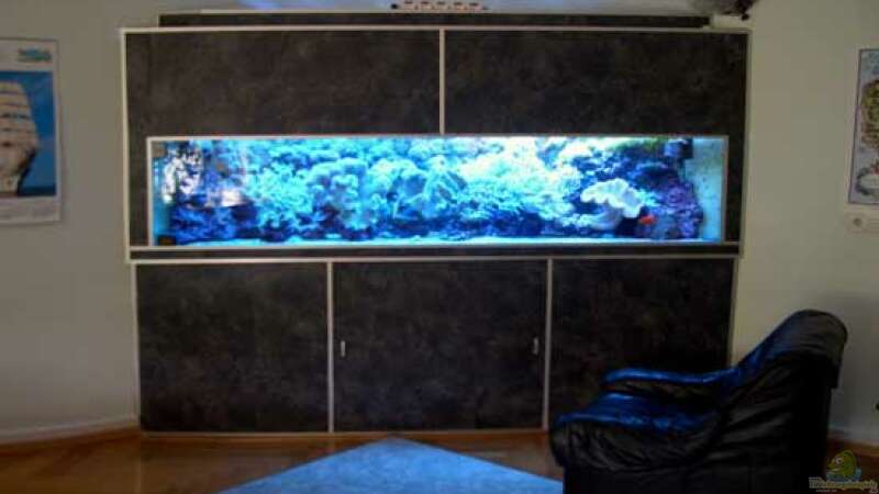 Aquarium Hauptansicht von Becken 2922
