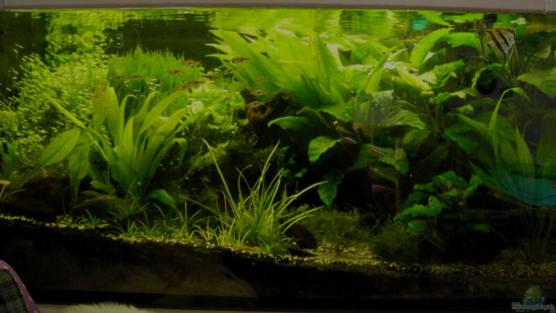 Februar 2014