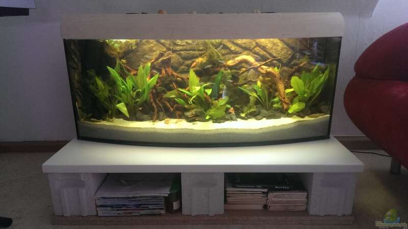 Aquarium Hauptansicht von Gyuana - Bachlauf