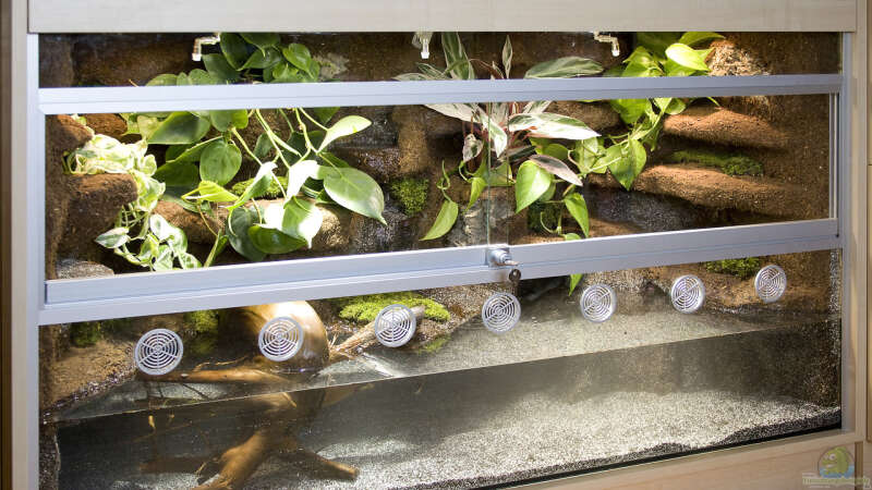 Aqua-Terrarium / Paludarium für Krokodilschwanzechsen