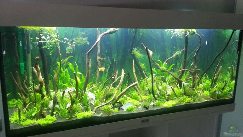 240l Becken