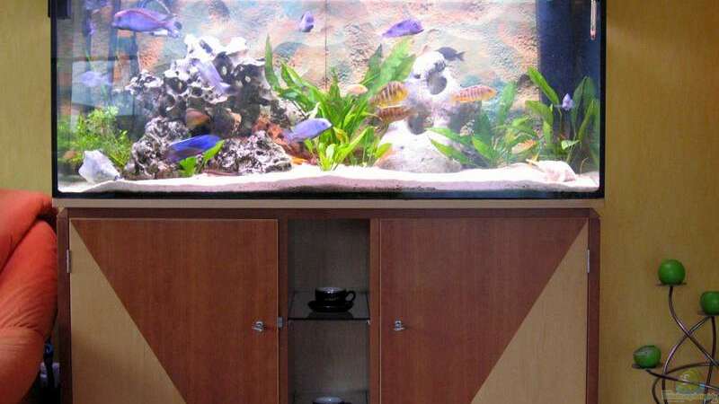 Aquarium Hauptansicht von Becken 332