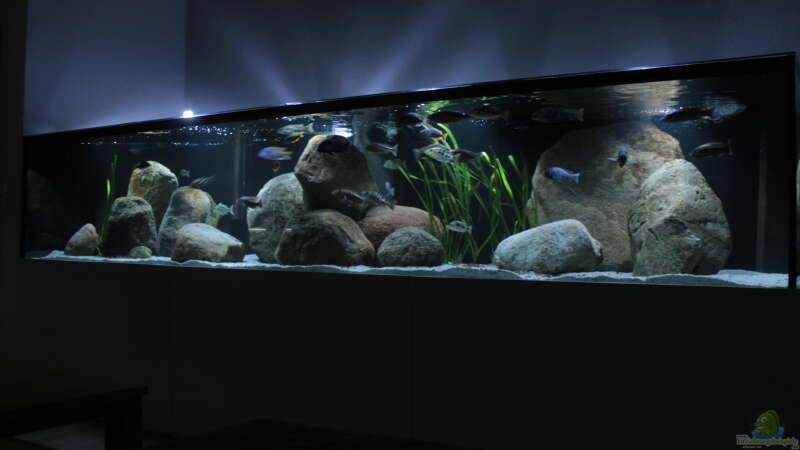 Aquarium Hauptansicht von Becken 34304
