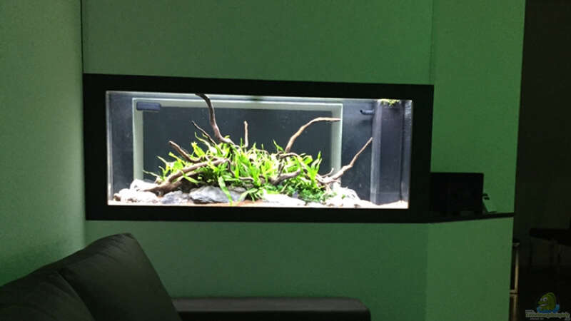 Aquarium Hauptansicht von Aquarium Projekt