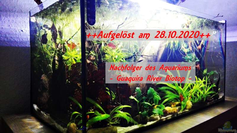 Aquarium aufgelöst am 28.10.2020