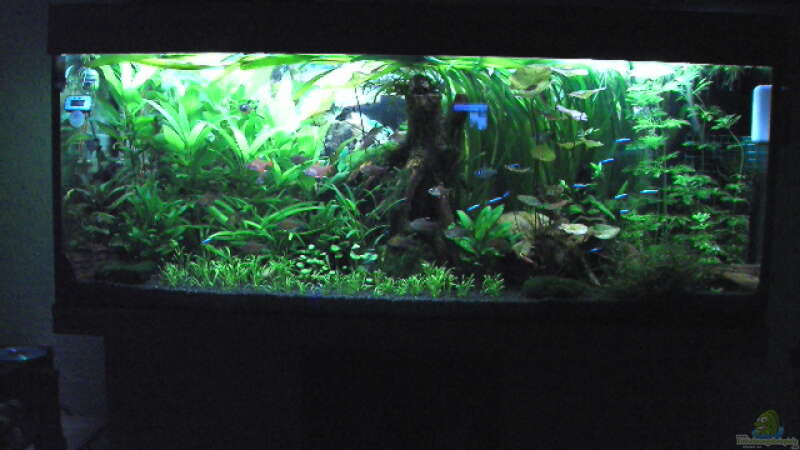 240 liter von juwel