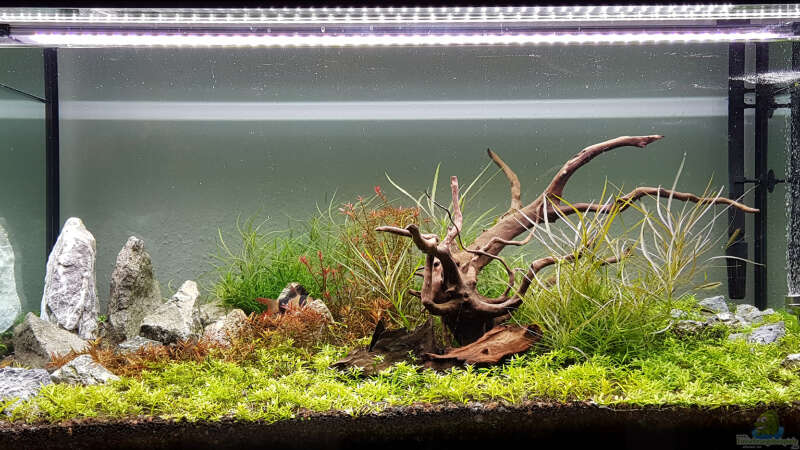 Aquarium Hauptansicht von Asien // Rotola