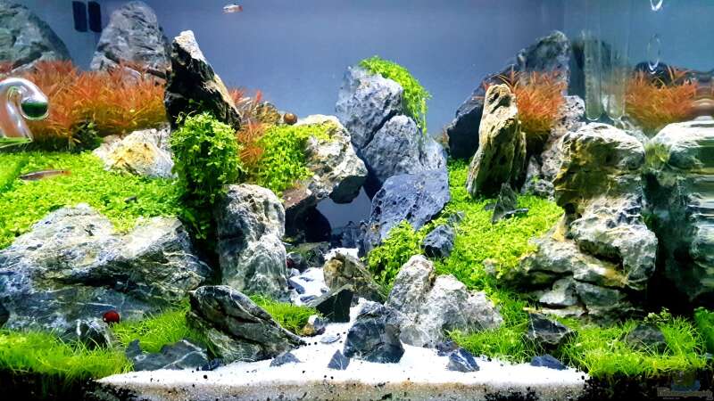 Aquarium Hauptansicht von Another World