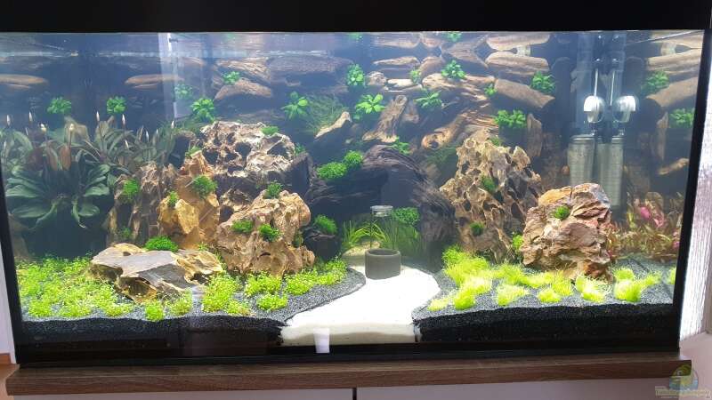 Aquarium Hauptansicht von 1st Scape