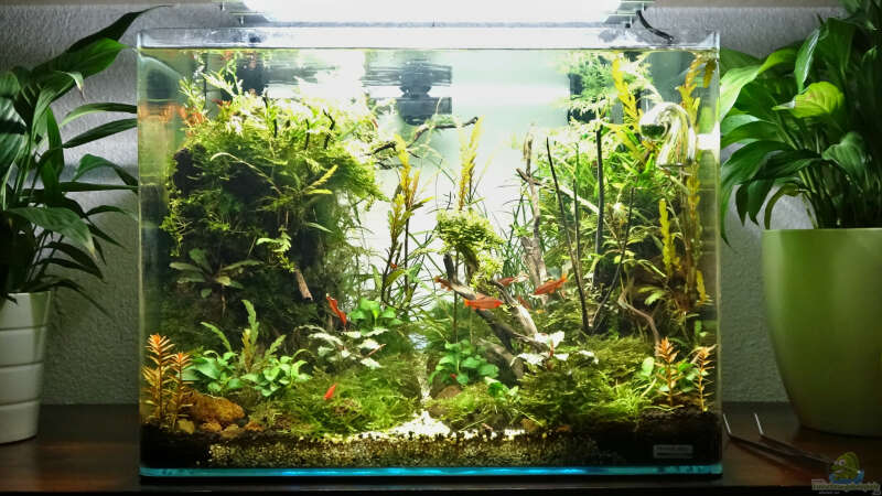 Aquarium Hauptansicht von Jungle Rock