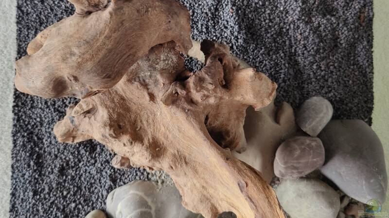 Hardscape von Tobes (10)