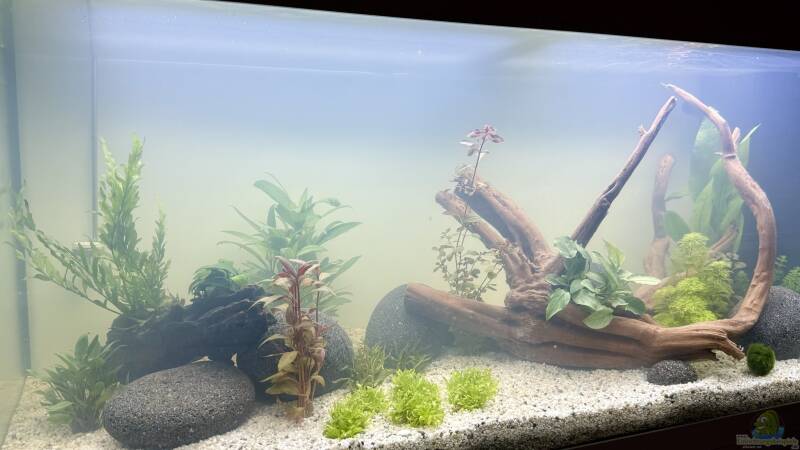 Aquarium Hauptansicht von Rio 180 von Skyrap (1)