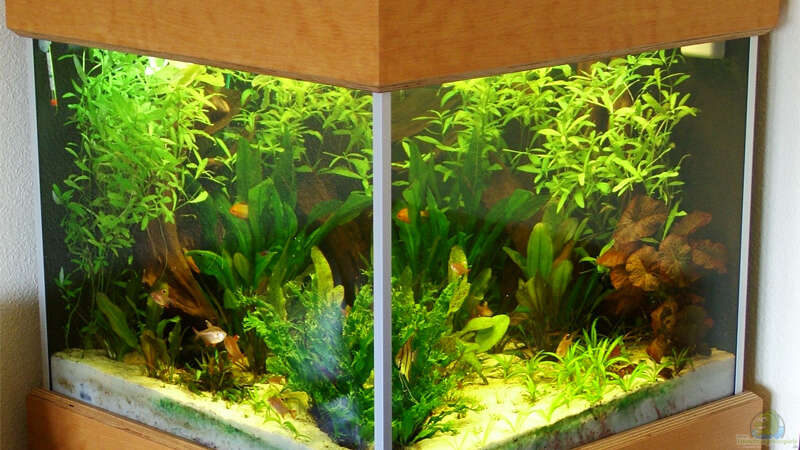 Becken mit Unterschrank in einer Raumecke mit 5cm Wandabstand