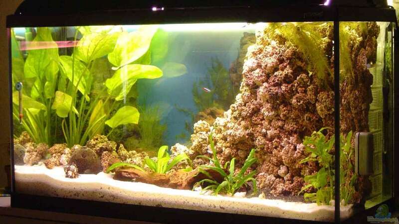 Waterhome Aquarium 200Ltr.