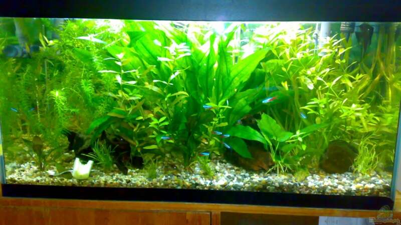 neues Hauptbild vom 14.11.08