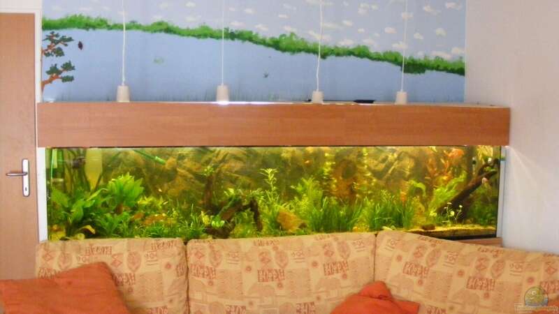Aquarium Hauptansicht von Becken 9533