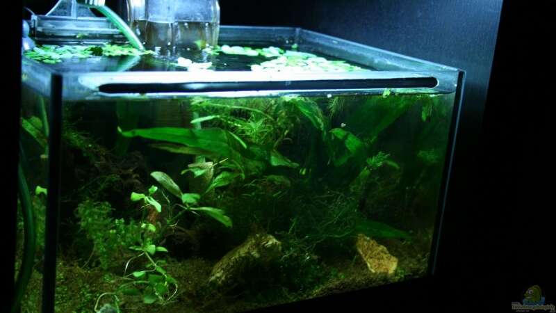 Aquarium Hauptansicht von Becken 9580