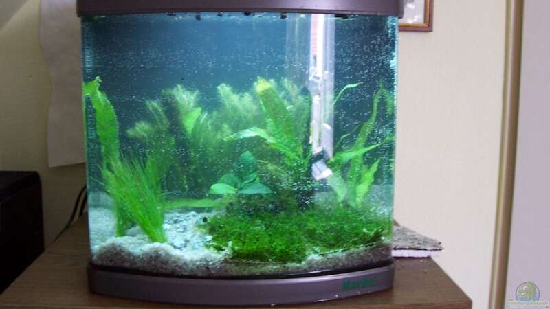 Aquarium Hauptansicht von Becken 9700