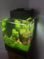 Fluval: Der führende Hersteller für hochwertige Aquaristikprodukte (Einrichtungsbeispiele mit Produkten von Fluval) Fluval: Der führende Hersteller für hochwertige Aquaristikprodukte (Einrichtungsbeispiele mit Produkten von Fluval)