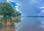 Der Kongo (Einrichtungsbeispiele mit Zierfischen aus dem Congo-River)
