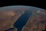 Das Rote Meer (Einrichtungsbeispiele mit Tieren aus dem Roten Meer) Das Rote Meer (Einrichtungsbeispiele mit Tieren aus dem Roten Meer)