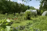 Der Schrebergarten oder Kleingarten (Einrichtungsbeispiele für Schrebergärten) Der Schrebergarten oder Kleingarten (Einrichtungsbeispiele für Schrebergärten)