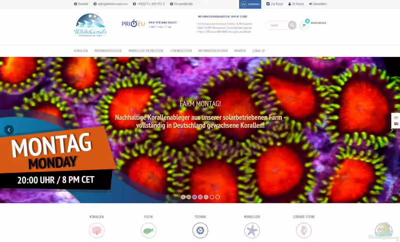whitecorals.com Onlineshop (Meerwasseraquarium Shop: Whitecorals.com | Meerwassershop | Korallen | Fische | Meerwassertechnik) whitecorals.com Onlineshop (Meerwasseraquarium Shop: Whitecorals.com | Meerwassershop | Korallen | Fische | Meerwassertechnik)