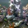 Userbild von andi76