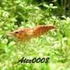 Userbild von ALex0008