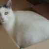Userbild von Maverick0815