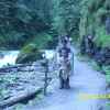 Userbild von mischling12