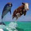 Userbild von Thomas Graf
