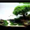 Userbild von David B