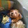 Userbild von derguppy11