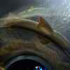 Userbild von Kathrin77