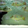 Userbild von Dreamworker