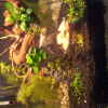 Userbild von leonard50