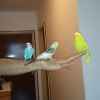 Userbild von Betta Ufuk