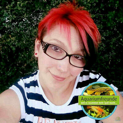Interview mit Anna Zdzieblik, Gründerin der Facebook-Gruppe Aquariumfreunde