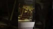 Video Junkfoodtag von NaMo (OZm_uOWYB8U)