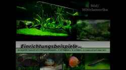 Video Die Aquaristikcomunity von .uschi (0A6aHQY3thI)