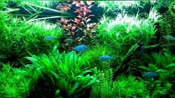 Video 2 Minuten Entspannung von axolotl (5ilr2CxyuIE)