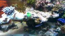 Video Stand 01.03.2013 von Bluewater (B7zDswtU5hk)