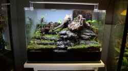 Video Waterfall paludarium von Junglist (WOYQVbxxRIA)