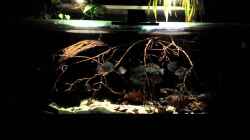Video the dark amazon von NRW (fTSZCbfW3WQ)