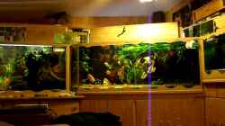 Video Aquariumanlage mit 3920 Liter Wasser von Ulrich Sauerhering (fUf8gN9LYjU)