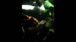 Video Beckenverlauf von Alexander Deepocean (g0CMbNHfjOg)